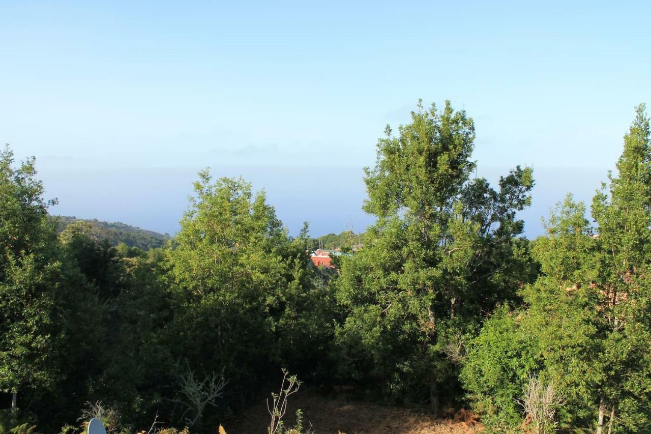Casa Fita En El Cubo De La Galga Guest House Puntallana Eksteriør bilde